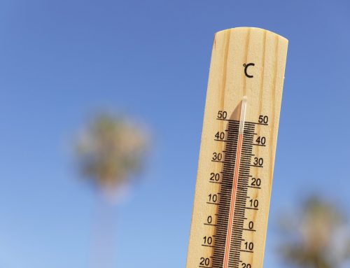 Ammortizzatori per caldo eccessivo 2026